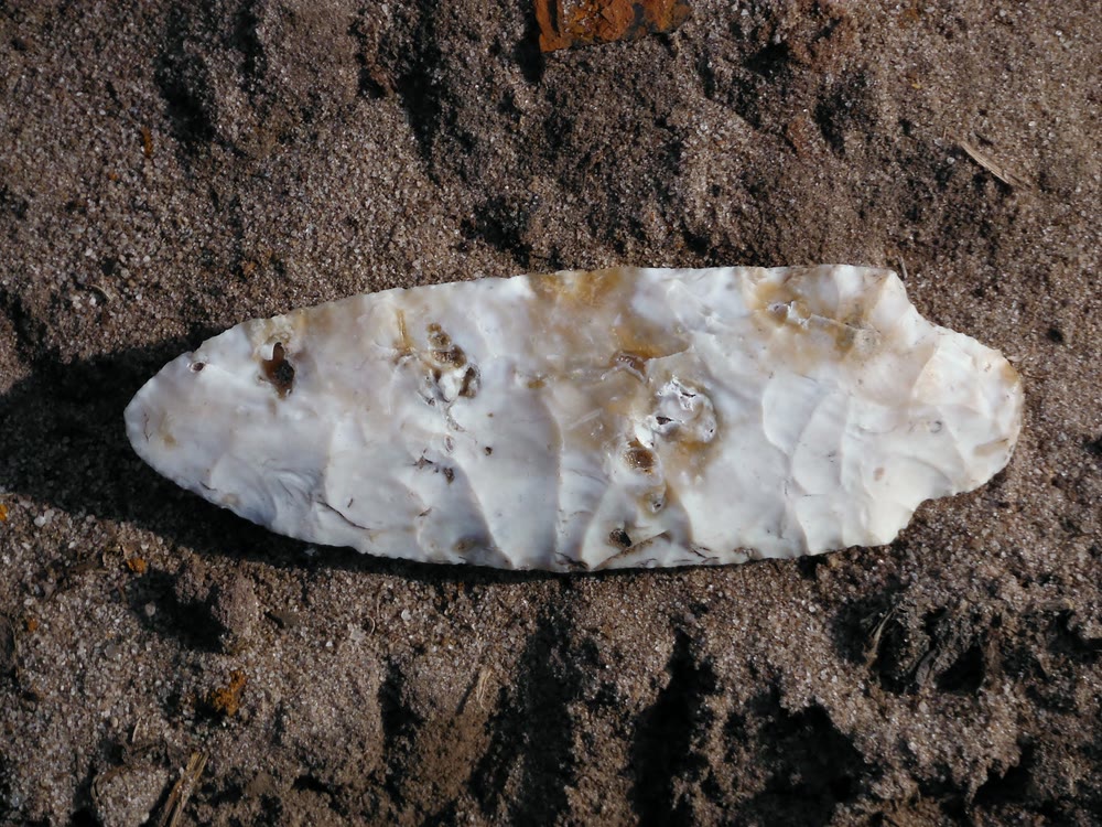 A single chipped-stone Archaic-period projectile point resting on sand: a long, leaf-shaped white blade with a rounded stem, its surface covered in fine flake scars.