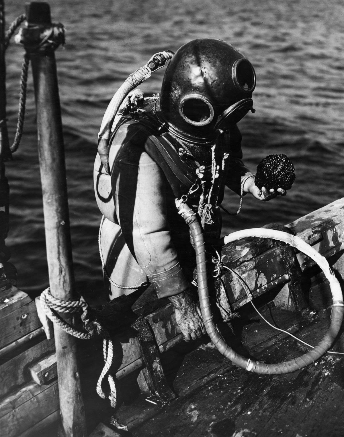 A diver in a full canvas suit and round bronze helmet climbs onto the wooden edge of a boat, an air hose looping from the helmet, holding a single dark sponge up in one gloved hand.